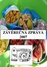 ZÁVĚREČNÁ ZPRÁVA 2007