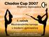 Chodov Cup 2007. 7. ročník Mezinárodního turnaje v moderní gymnastice