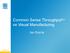 Common Sense Throughput TM ve Visual Manufacturing. Jan Buzrla