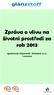Zpráva o vlivu na životní prostředí za rok 2013. společnosti Glanzstoff Bohemia s.r.o. Lovosice
