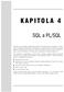 KAPITOLA 4. SQL a PL/SQL