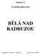 Změna č.3. Územního plánu obce BĚLÁ NAD RADBUZOU