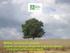 Milion ovocných stromů program pro obnovu výsadeb do krajiny jižní Moravy.v boji proti suchu, erozi a lenosti Mgr. Vít Hrdoušek