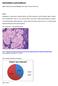 Sarkoidóza (sarcoidosis)