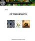 Téma: FYTOHORMONY. Santner et al Praktikum fyziologie rostlin