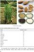 II. Minoritní obiloviny a pseudoobiloviny a jejich kvalita Pluchaté pšenice - jednozrnka, dvouzrnka a pšenice špalda