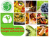 Psychologie výživy a energie wellness jídla