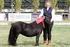výsledky VÝSTAVY XII. Národní šampionát shetland pony 1. kategorie Shetland pony mini typ (do 87 cm KVH) Posuzovatel: Joy Barugh (Birchmoor stud)