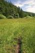 Příspěvek k rozšíření karpatského druhu kozlíku celolistého (Valeriana simplicifolia) na území severovýchodní Moravy a Slezska