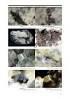 Mineralizační stadia a jejich časová posloupnost
