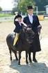 Národní pravidla Svazu chovatelů Shetlandských pony pro výstavní třídy Mladý vystavovatel, Lead Rein, First Ridden, Open Ridden a Driving.