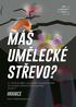 más umelecké strevo? 8. ročník soutěže o současném výtvarném umění pro studenty středních škol a gymnázií 2016/17 hranice