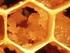 Fyzikální vlastnosti medů