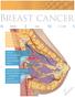 Breast cancer N E W S. na 10 str. SABCS str. 25 str. Pertuzumab - výsledky studie prezentované. Léčba mozkových metastáz karcinomu prsu