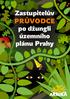 Zastupitelův průvodce po džungli územního plánu Prahy