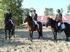 Pony handicap LP 1. kvalifikace PONY LIGY 2013 pro ml. děti Soutěž otevřená pro všechny kategorie pony a jezdce do 16 let. Pro děti 8-12 let je