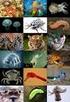 3. (větší) zbytek část lofotrochozoí - pásnice, sumýšovci, měkkýši - kroužkovci -zvířata s chapadly: mechovky, chapadlovky, ramenonožci