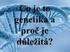 GENETIKA dědičností heredita proměnlivostí variabilitu Dědičnost - heredita podobnými znaky genetickou informací Proměnlivost - variabilita