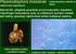 Systém houbových organismů část 4 Přednášky (verze LS 2006/2007) RNDr. B. Mieslerová, Ph.D. Prof. Ing. A. Lebeda, DrSc.