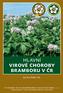 HLAVNÍ VIROVÉ CHOROBY BRAMBORU V ČR. Ing. Petr Dědič, CSc. VÝZKUMNÝ ÚSTAV BRAMBORÁŘSKÝ HAVLÍČKŮV BROD, s. r. o. PORADENSKÝ SVAZ BRAMBORÁŘSKÝ KROUŽEK