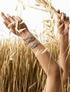 Kvalita pšenice sklizně 2014 v ČR s bližším pohledem na vybrané odrůdy