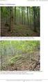 Výsledky digitalizace snímkování stavu lesních porostů NP Šumava