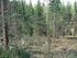 Monitoring stavu lesů v Národním parku Šumava - zpracování dat do roku 1999