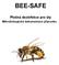 BEE-SAFE. Plošná dezinfekce pro úly. Mikrobiologická dokumentace přípravku