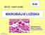 MIKROBIÁLNÍ LOŢISKA. MUDr. Josef Jonáš. Cytomegalovirus: inkluze v cytoplazmě a v buněčných jádrech.  1