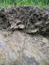 Geologická a geobiocenologická charakteristika lomu Rudice- Seč