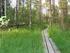 Plán péče o přírodní památku Rašelinná louka u Proseče-Obořiště