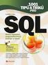 SQL - úvod. Ing. Michal Valenta PhD. Databázové systémy BI-DBS ZS 2010/11, P edn. 6