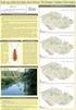 Soubor map: Historické a současné rozšíření střevlíkovitých brouků (Coleoptera: Carabidae) tribu Pterostichini v České republice