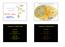 Svět RNA a bílkovin. Transport a stabilita RNA. Transport a stabilita RNA. TRANSPORT A STABILITA mrna. Úrovně regulace genové exprese eukaryot