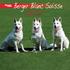 Berger Blanc Suisse. Dag-mar travel s.r.o. česká cestovní agentura / czech incomming travel agency / tschechische Reiseagentur