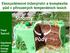 Ekosystémové inženýrství a komplexita půd v přirozených temperátních lesích. Stromy. Pavel Šamonil. Půdy. Department of Forest Ecology, VUKOZ