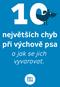 10 největších chyb při výchově psa. a jak se jich vyvarovat.