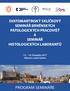 SVATOMARTINSKÝ SKLÍČKOVÝ SEMINÁŘ BRNĚNSKÝCH PATOLOGICKÝCH PRACOVIŠŤ A SEMINÁŘ HISTOLOGICKÝCH LABORANTŮ listopadu 2017 Mikulov, hotel Galant