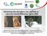 Monitoring vlka obecného a rysa ostrovida ve vybraných lokalitách soustavy Natura 2000