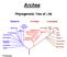 Dr. Carl Woese Archaea (16S rrna) Biologie Archea