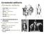 Germánská militaria /Germanic militaria
