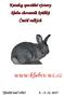 Katalog speciální výstavy klubu chovatelů králíků Činčil velkých   Týniště nad Orlicí