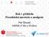 Rok v přehledu Porodnická anestezie a analgezie. Petr Štourač KARIM LF MU a FN Brno