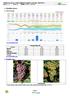 1. Aktuální situace. 1.1 Meteorologie. 1.2 Fenofáze révy.