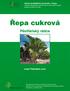 Řepa cukrová. Pěstitelský rádce. Josef Pulkrábek a kol.