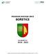 PROGRAM ROZVOJE OBCE BOŘETICE NA OBDOBÍ LET