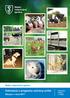 Státní veterinární správa. Státní veterinární správa. Informace o programu ochrany zvířat. Situace v roce 2017