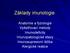 Základy imunologie. Anatomie a fyziologie Vyšetřovací metody Imunodeficity Imunopatologické stavy Imunosupresivní léčba Alergické reakce
