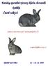 Katalog speciální výstavy klubu chovatelů králíků Činčil velkých