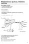 Metabolismus glukosy. Diabetes mellitus